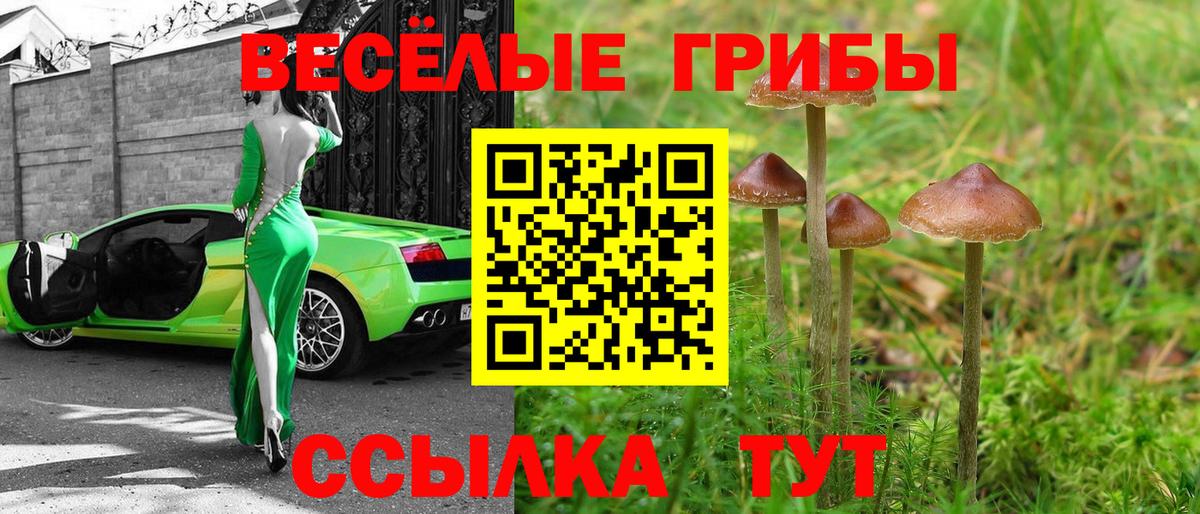 Псилоцибиновые грибы Psilocybine cubensis  Вход с VPN  Галлюциногенные грибы GOLDEN TEACHER  Урюпинск 